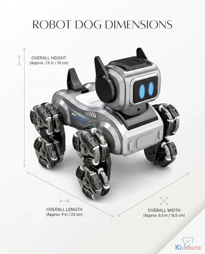 Robot Cat RC Car