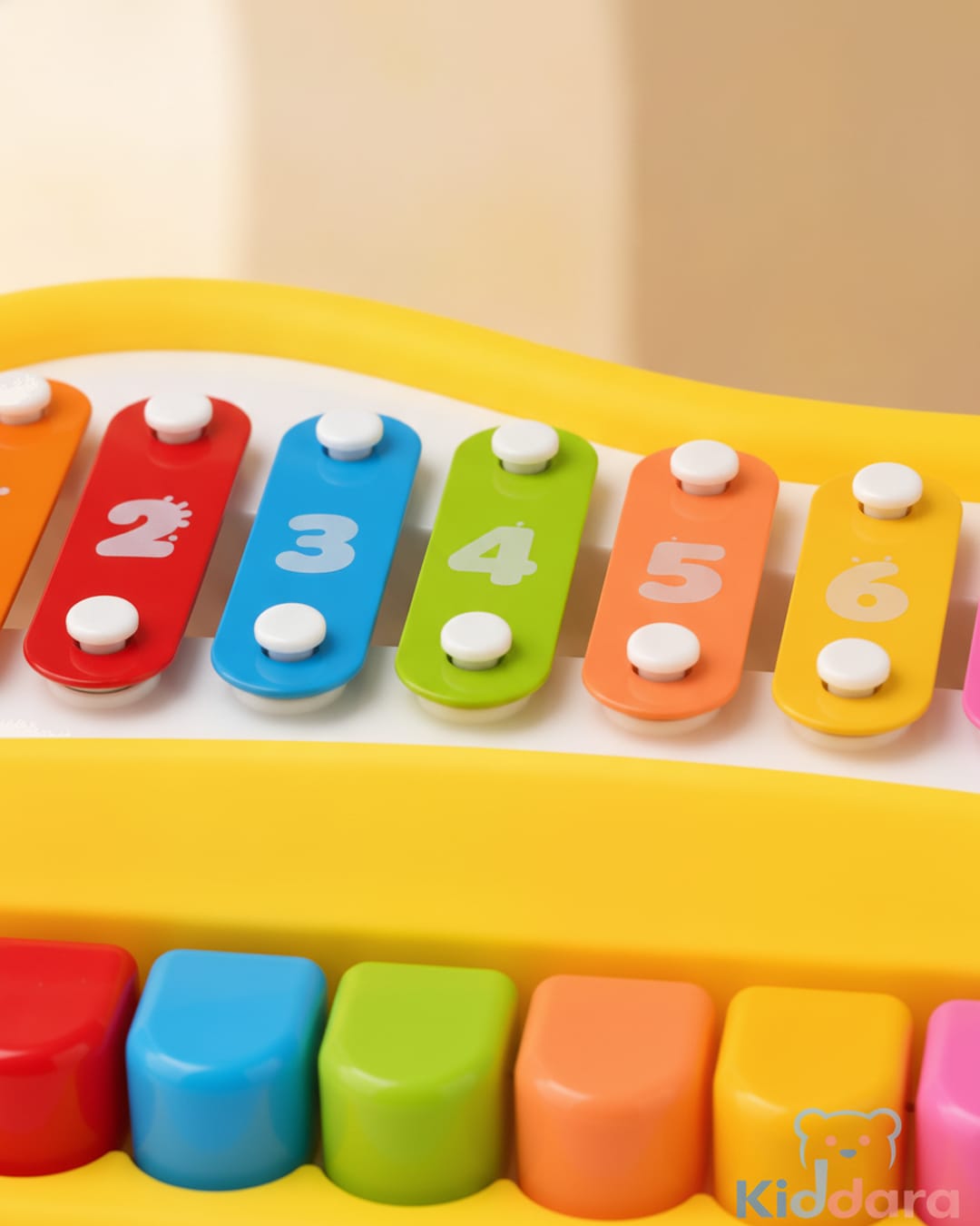 2-in-1 Xylophone & Piano